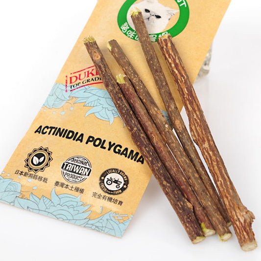 Catnip Stick for Cats