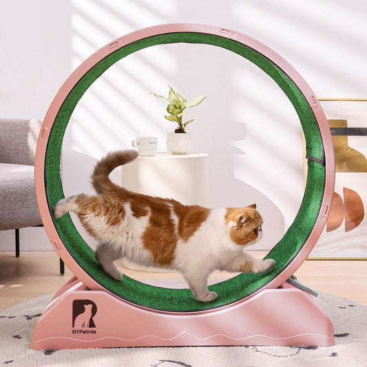 RYpetmia Cat Exercise Wheel 31.5 Inch Cat Treadmill for Indoor Cats Cat Running Wheel with Carpeted Runway Easy to Install & Fitness & Health Suitable for Most Cats Plastic Cat Wheel