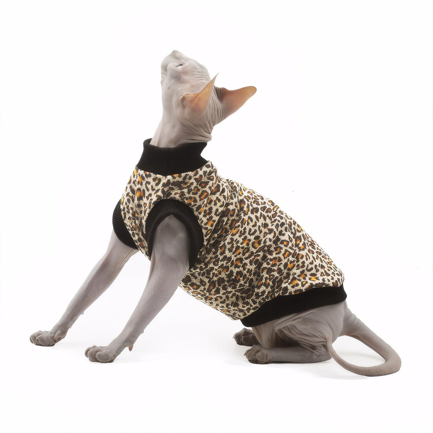 Sphynx Cats ClothesHairless Cat Turtleneck SweaterCold Weather Cat ClothesSoft Kitten Sweater Cat Sweaters for Cats Only（Leopard Print，2XL