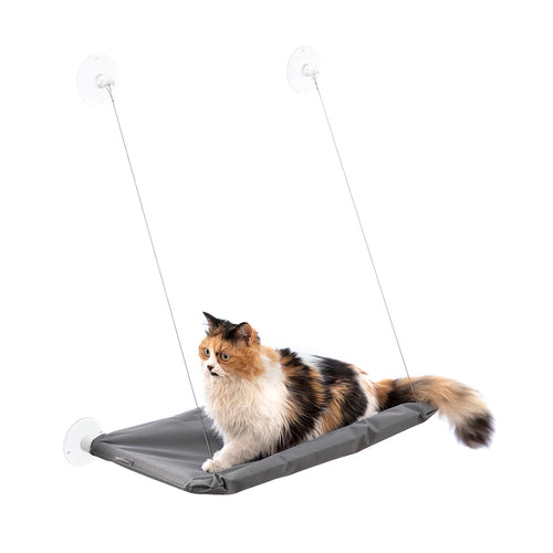 Hanging Cat
